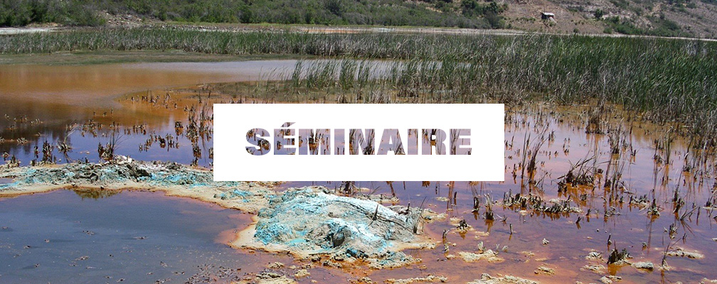 Séminaire Pollution