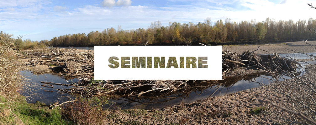 Séminaire : Regards croisés sur l’empreinte environnementale du bois flotté en rivière d’hier à aujourd’hui