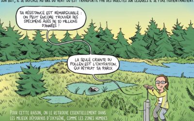 BD « Sciences en bulles » : les pollens fossiles révèlent les paysages du passé