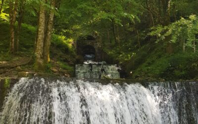 Contre-récits de l’eau : une œuvre vidéo pour sensibiliser aux enjeux de l’eau en milieu karstique